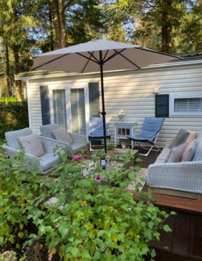 Luxe Chalet met prachtig terras op de Veluwe , veel privacy